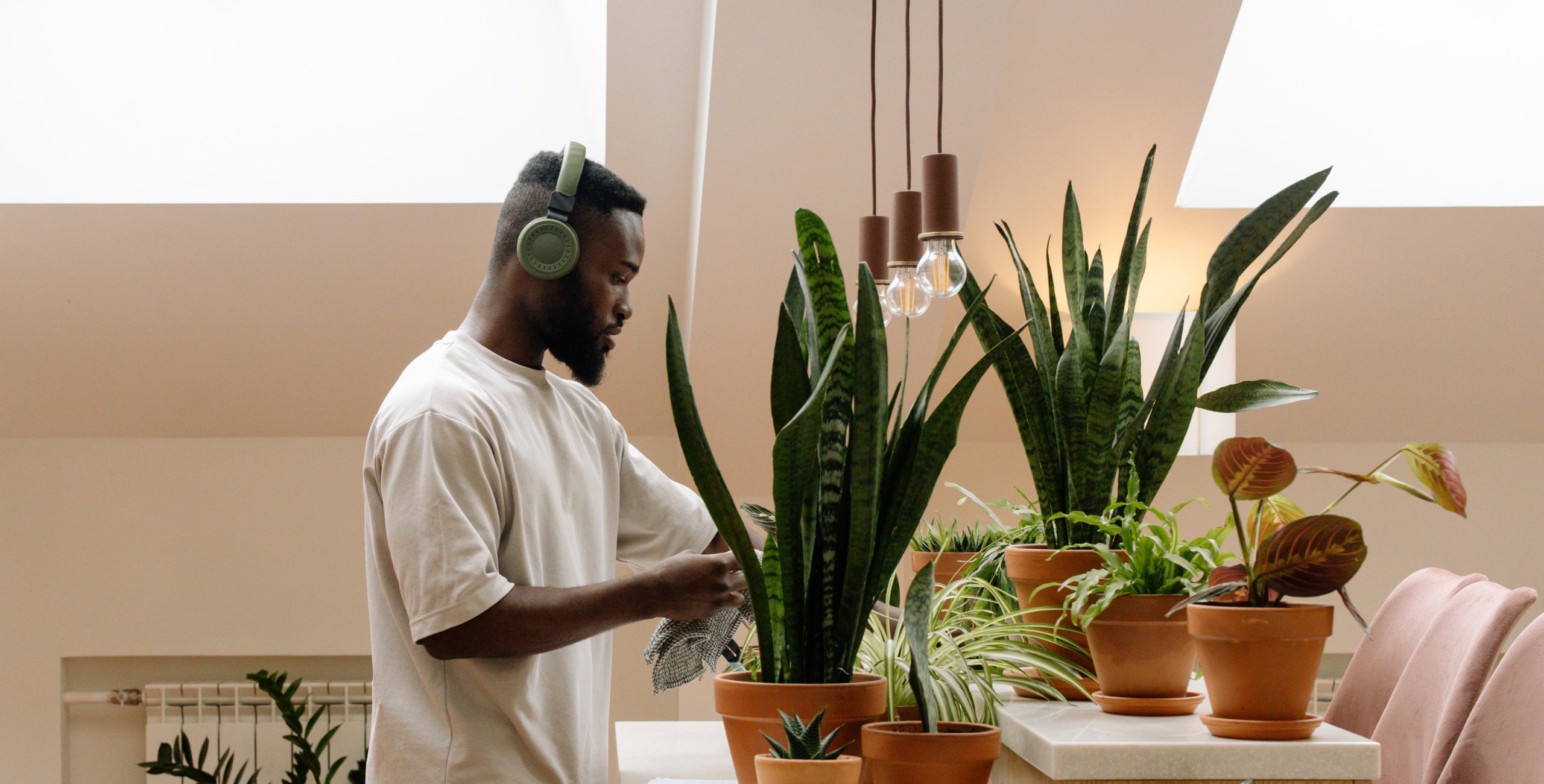 Image of plants